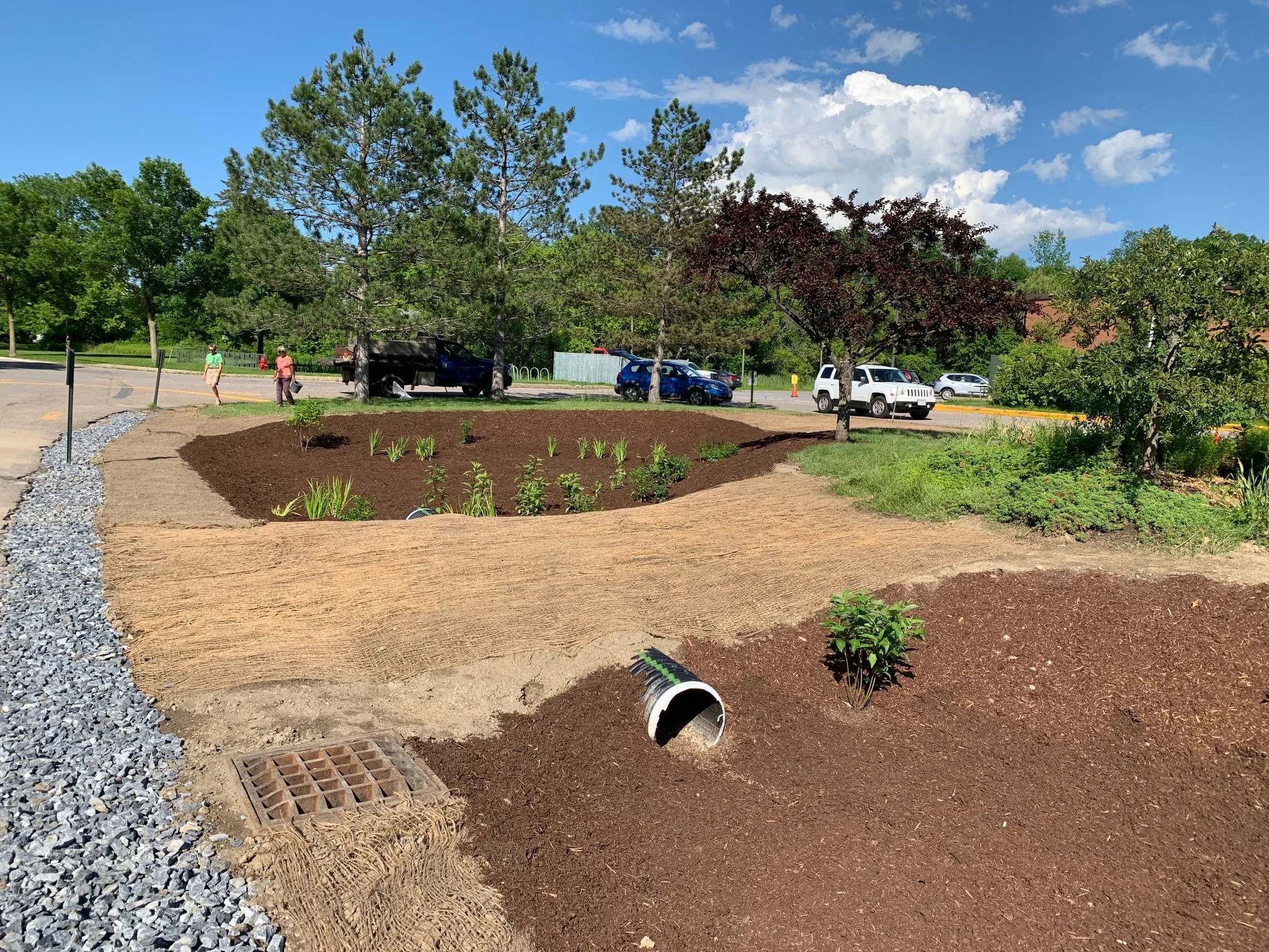 SCS raingarden looking north with volunteers.jpg