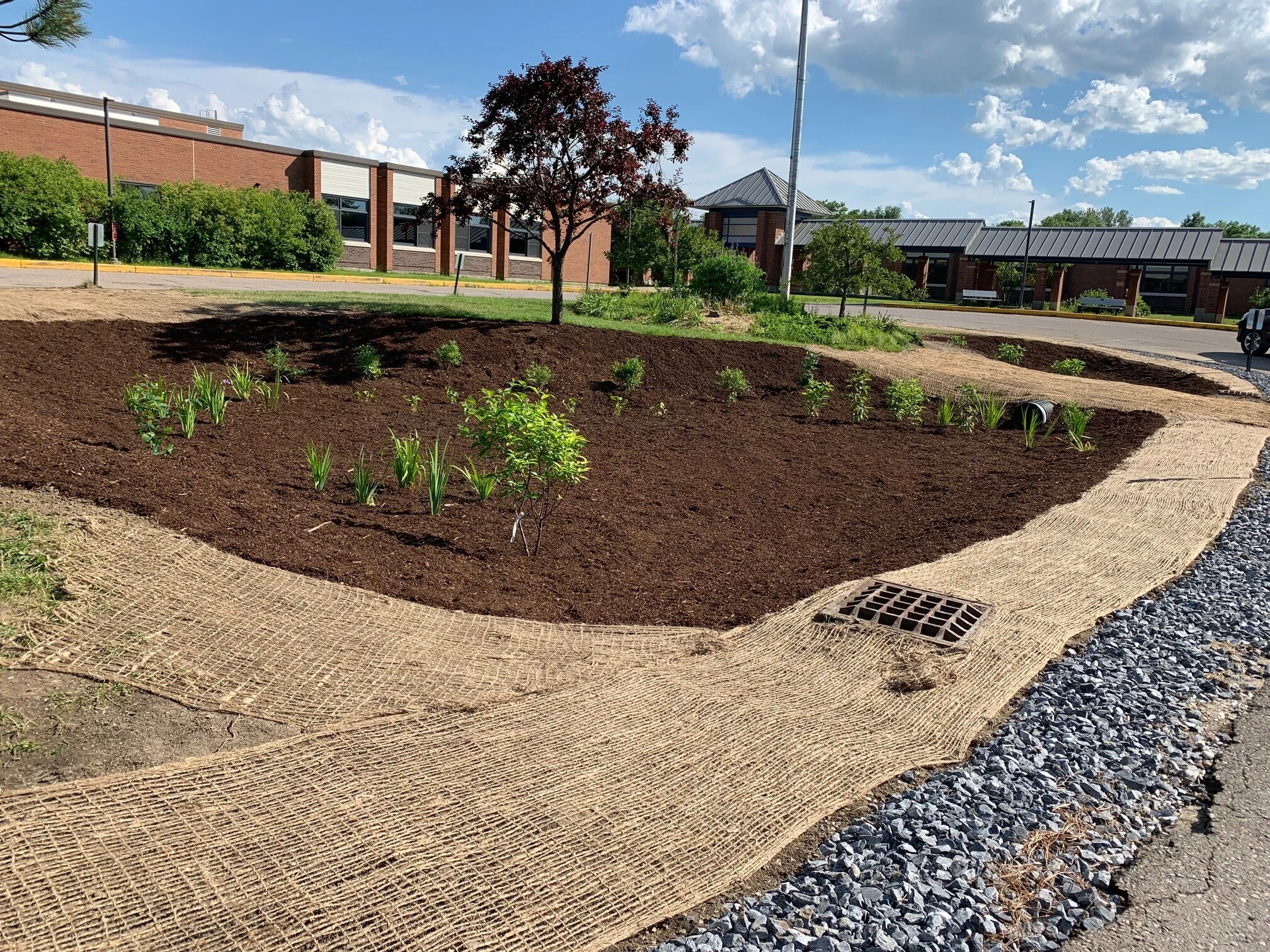 SCS raingarden.jpg