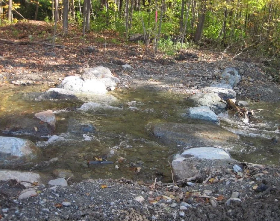 Beecher Hill Brook Floodplain Restoration Update