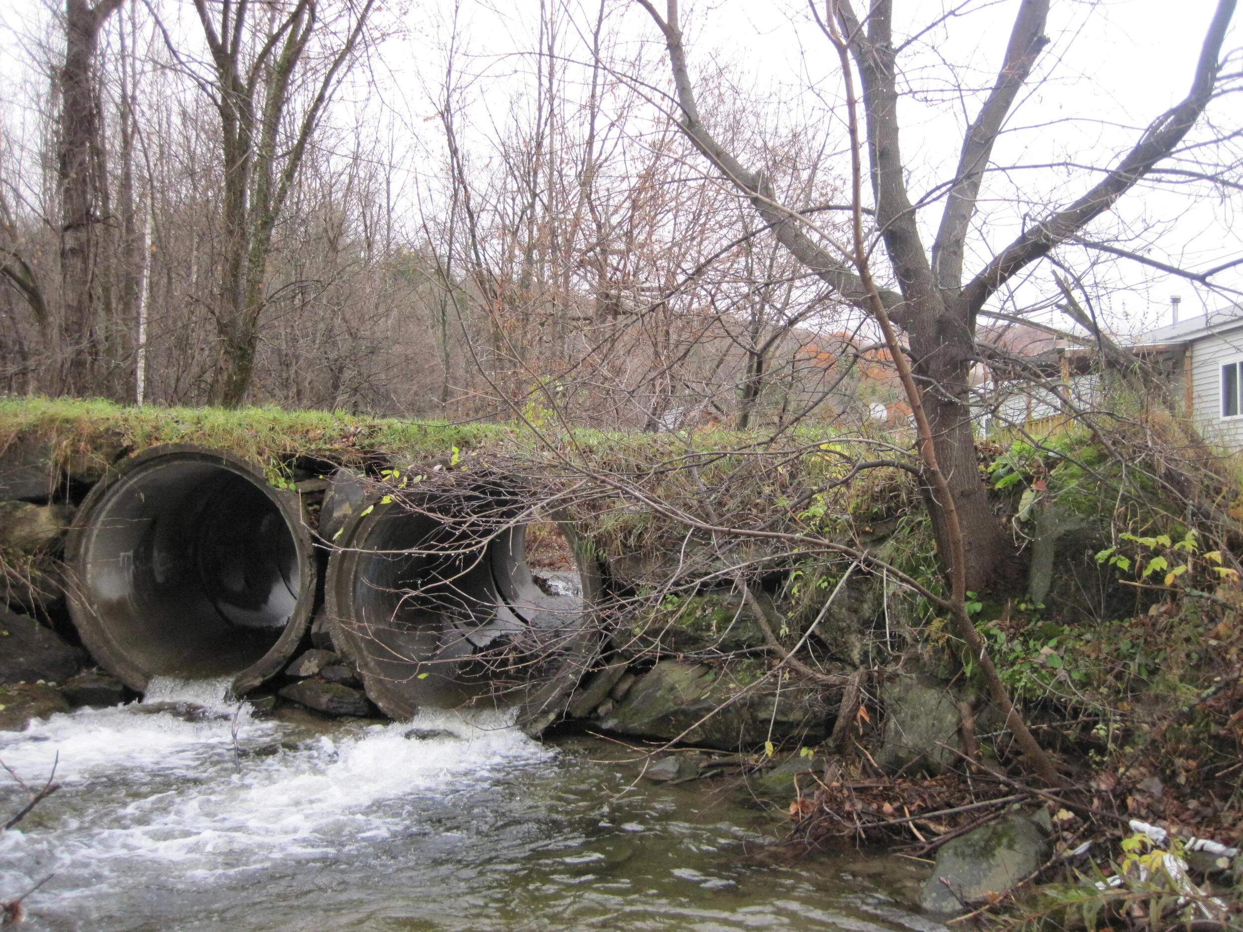 Brook Trout Climate Change Refugia: Increasing Aquatic Habitat Knowledge and Stewardship in the Lewis Creek Watershed