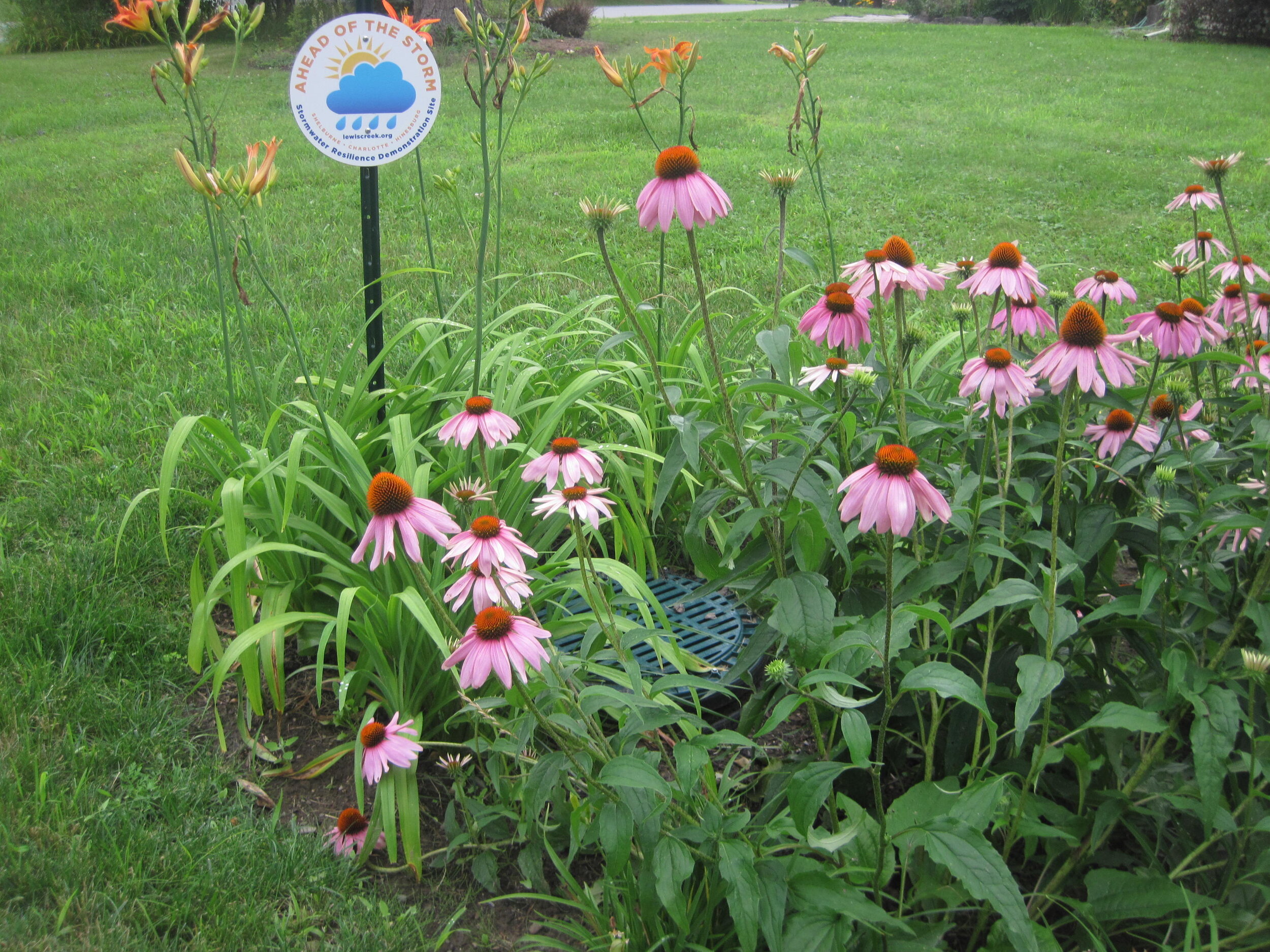 Bioretention area at Brook Lane, Shelburne