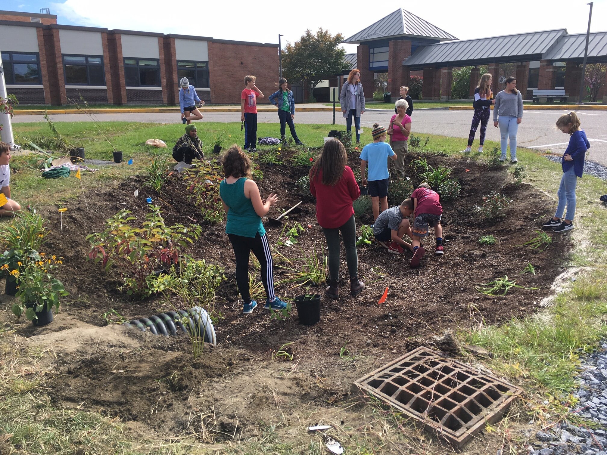 Shelburne Community School students help plant rain garden