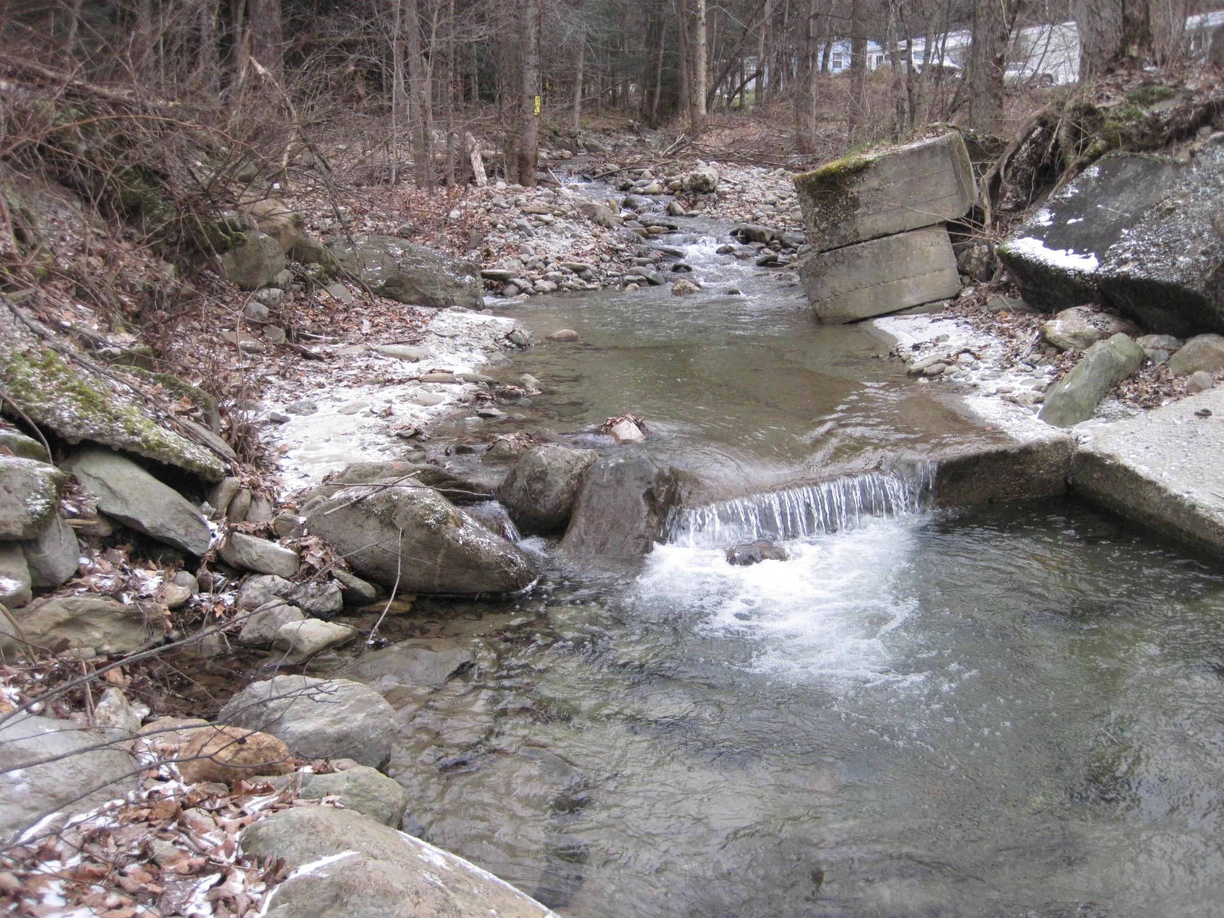 Lewis Creek Association Works to Reduce Flooding Risk &amp; Improve Water Quality in Starksboro