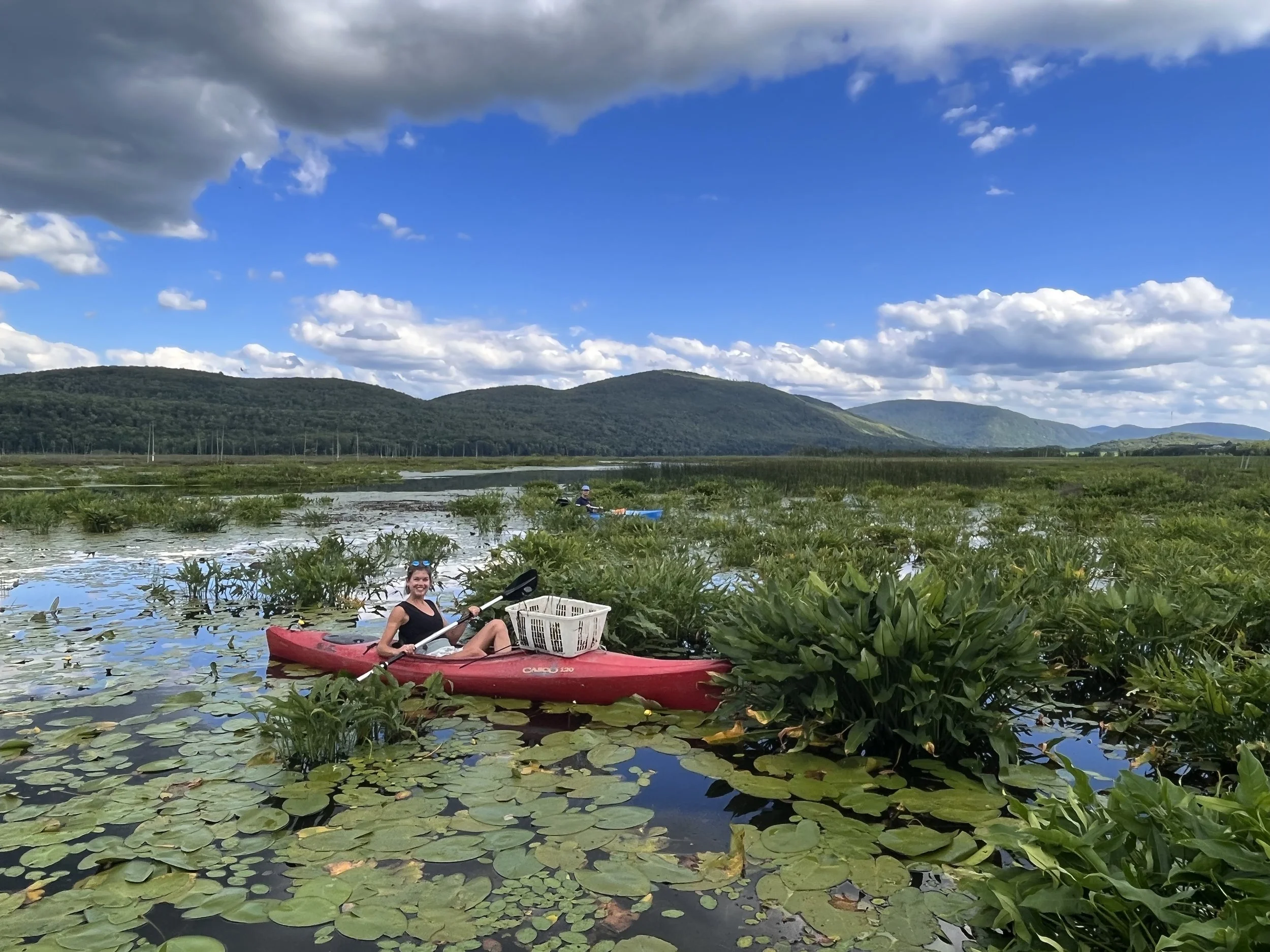Aquatic Invasive Species Presentation
