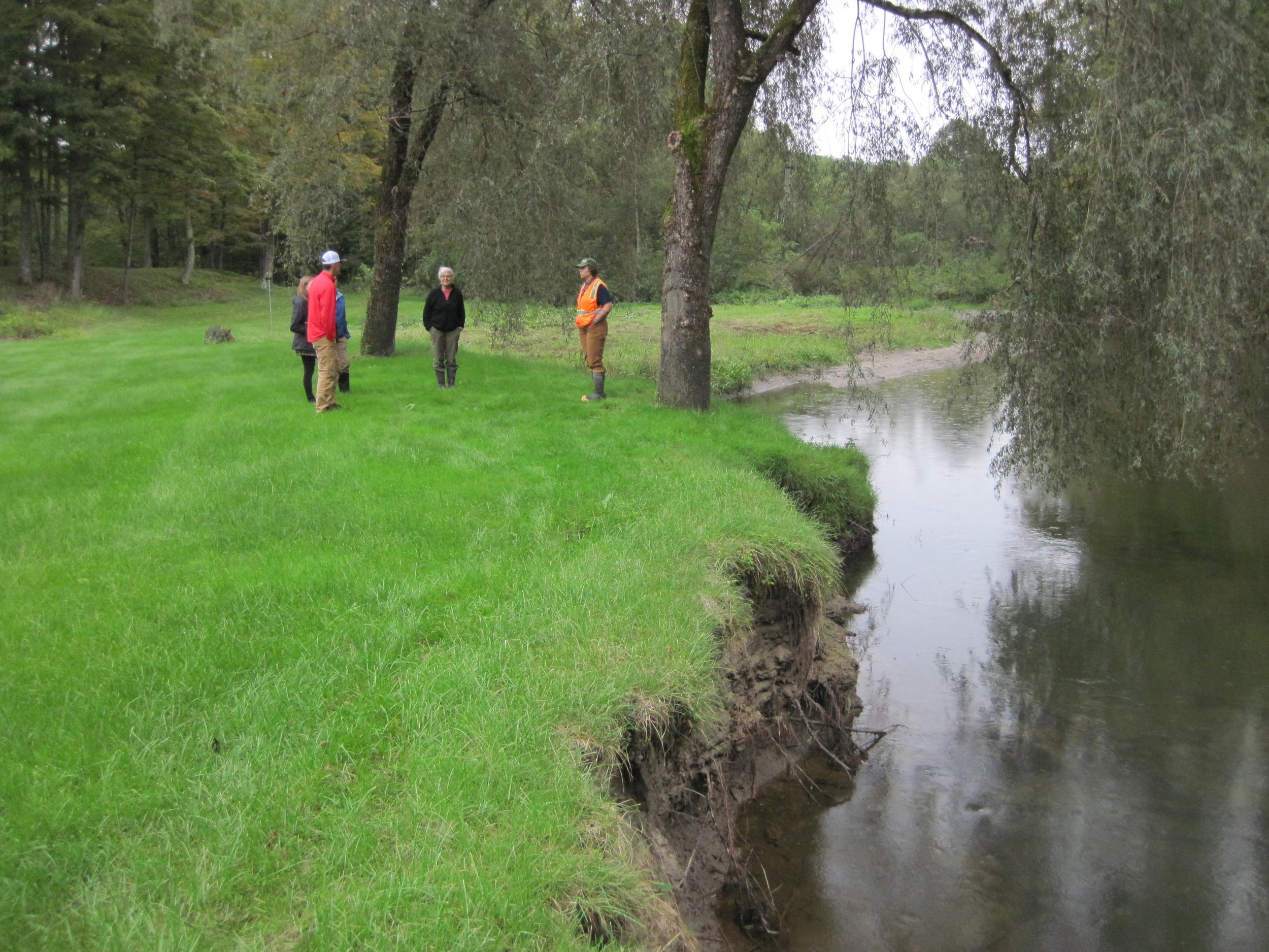 LCA Tree Planting along Lewis Creek Road