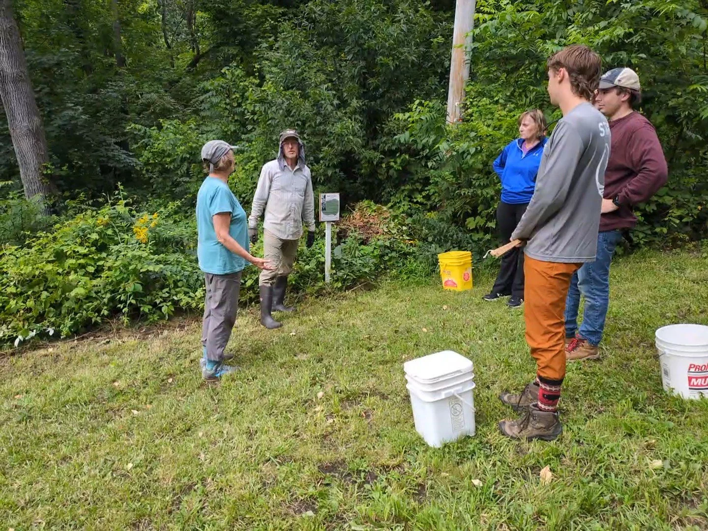 Japanese Knotweed Removal Demonstration - Wednesday Aug 13