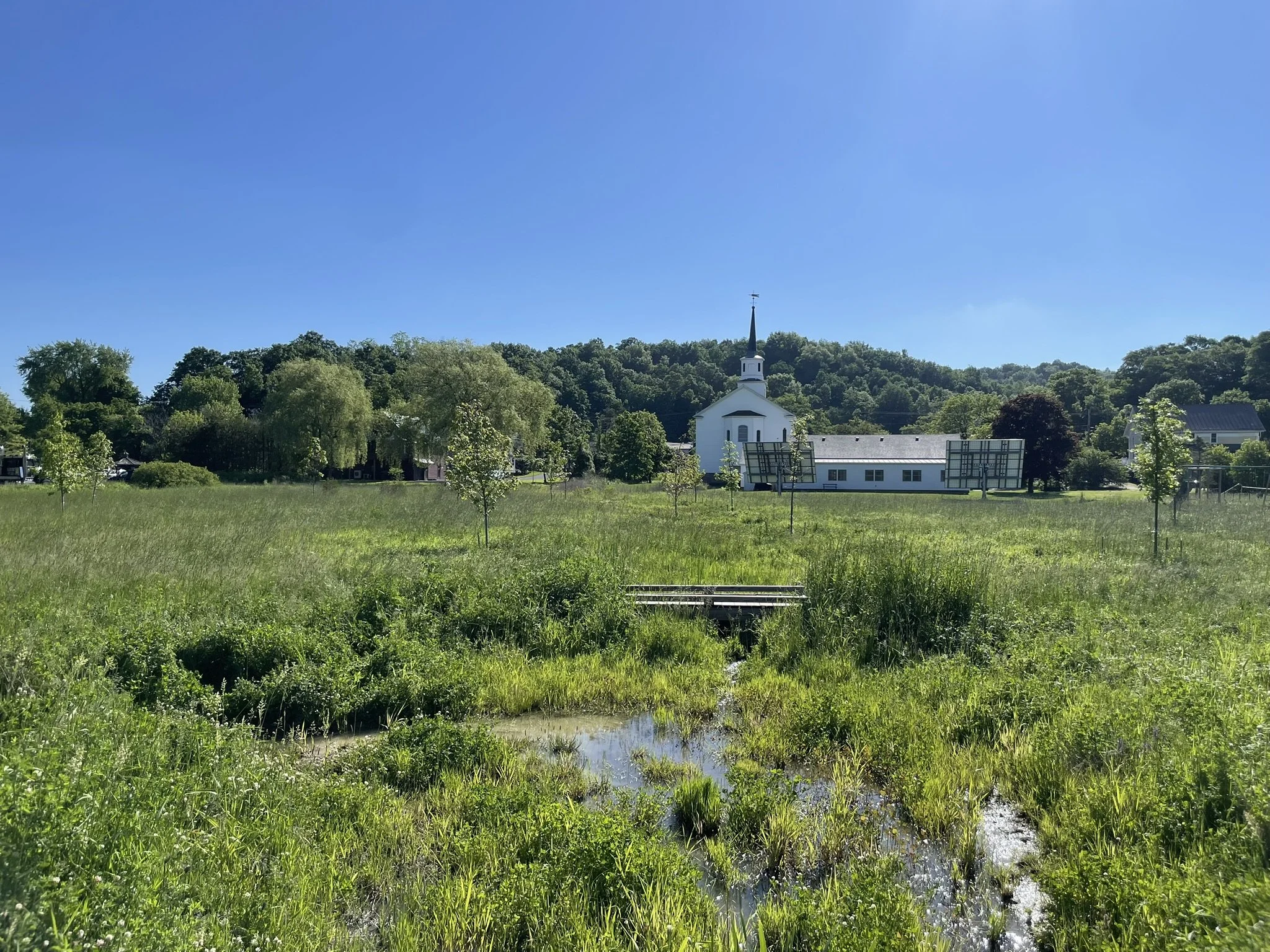 Wetland Restoration in Hinesburg Complete
