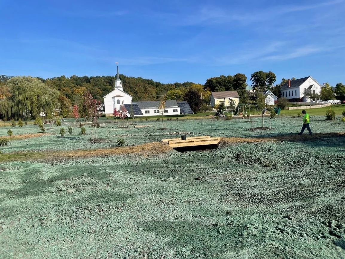 Hydroseeding in 2024