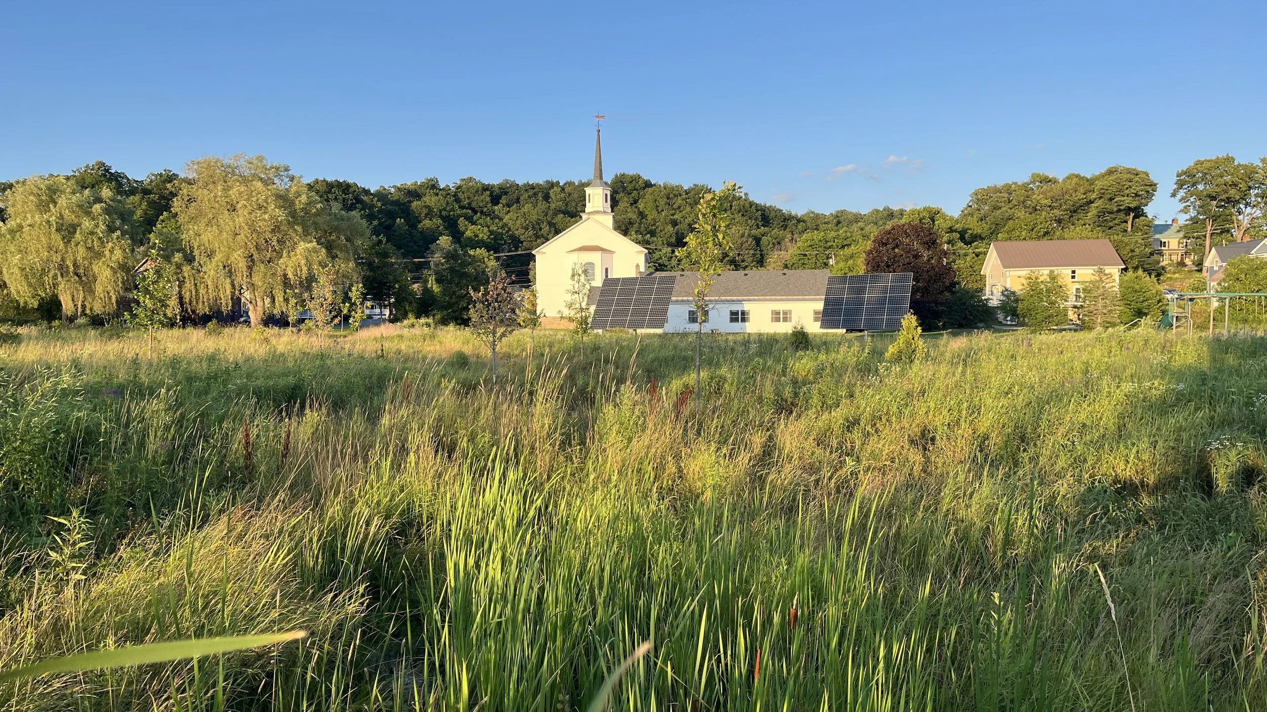Restored wetland July 2026