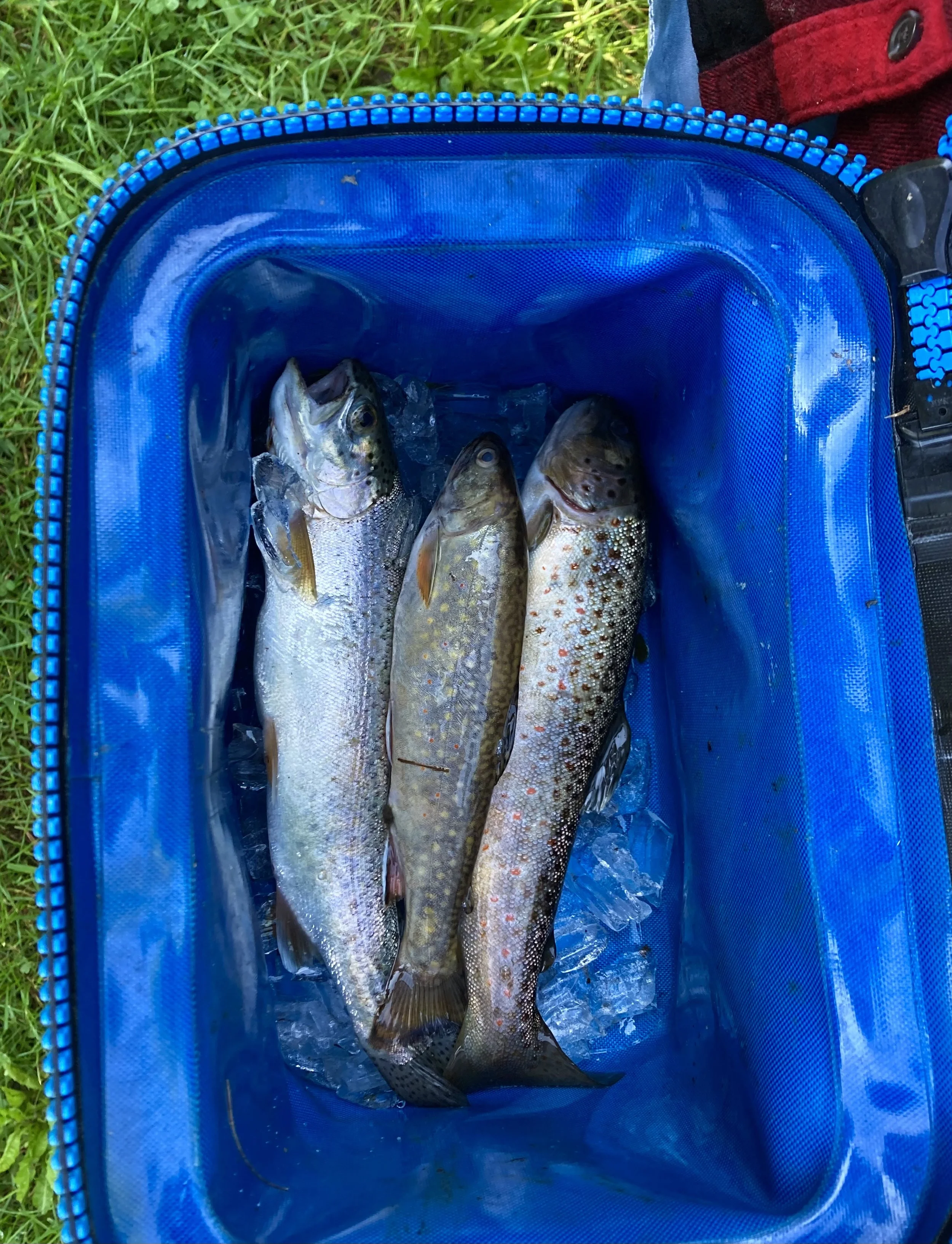 Kid-Friendly Fishing Event with LCA & Trout Unlimited - Save-the-Date!