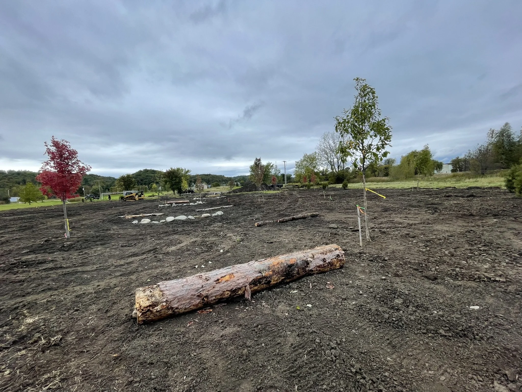 Placement of logs during construction