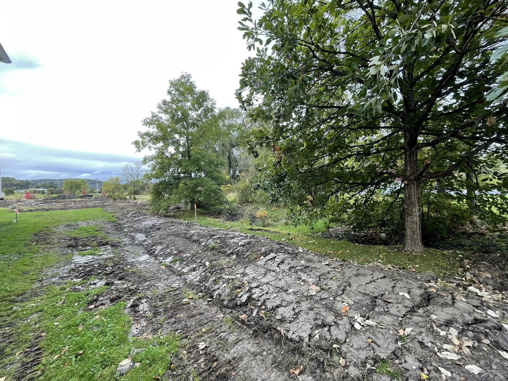 Shaping of the swale