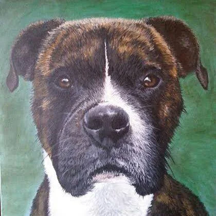 Ardy, Acrylic on Canvas, 24"x24"