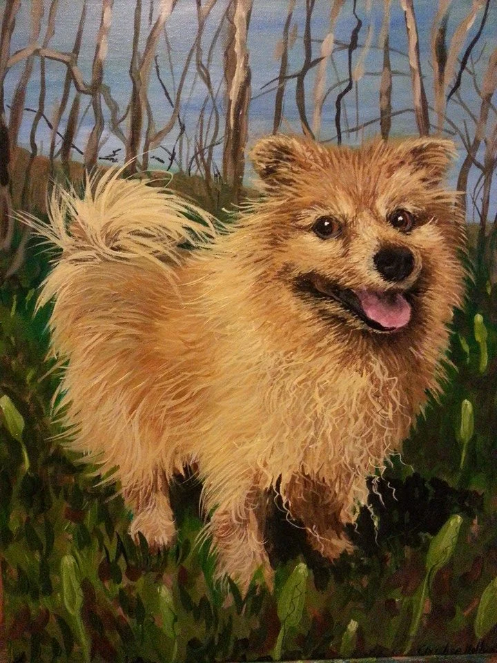 BeBe , Acrylic on Canvas, 16"x20"