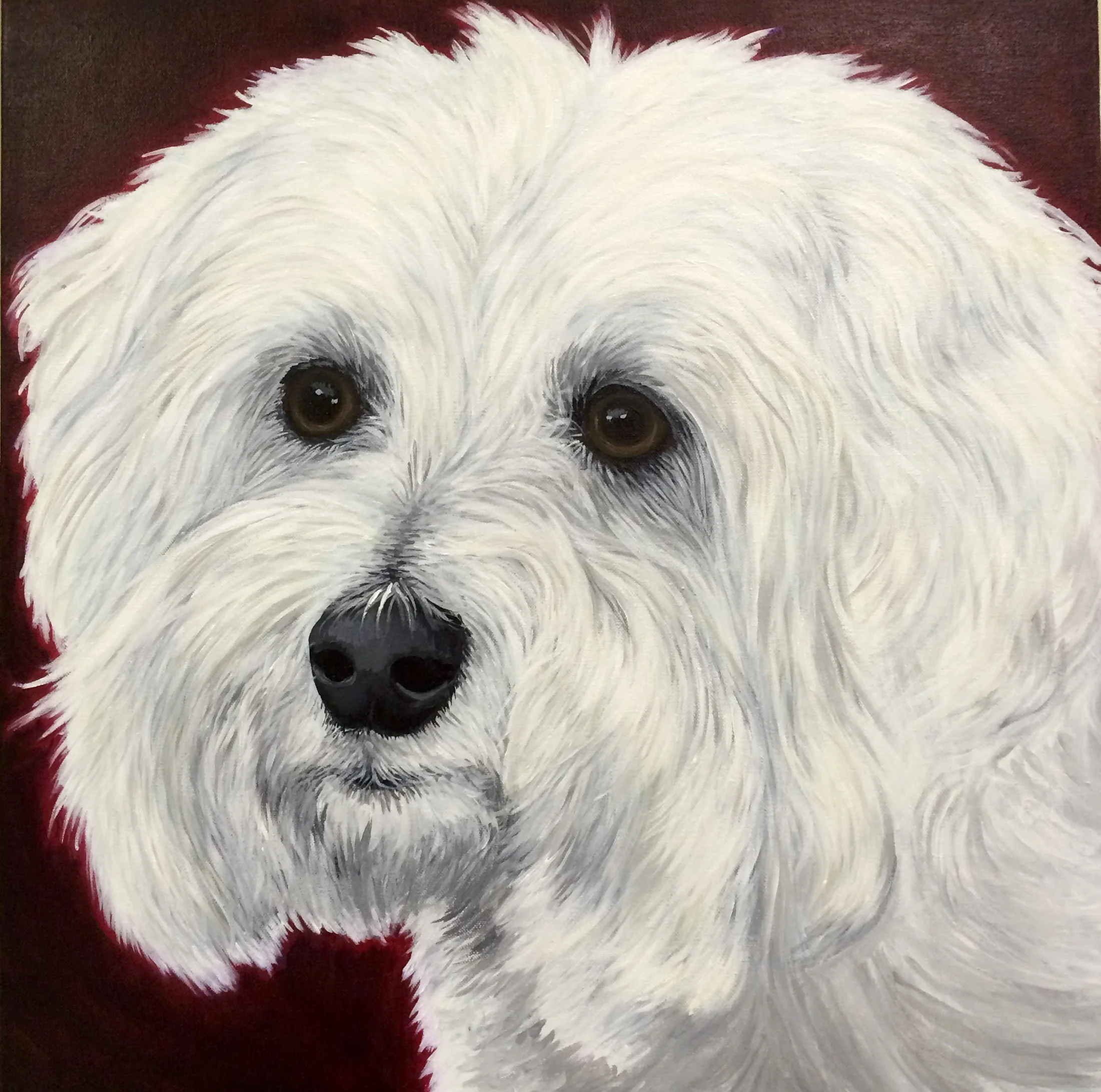 Milou , Acrylic on Canvas, 24"x24"
