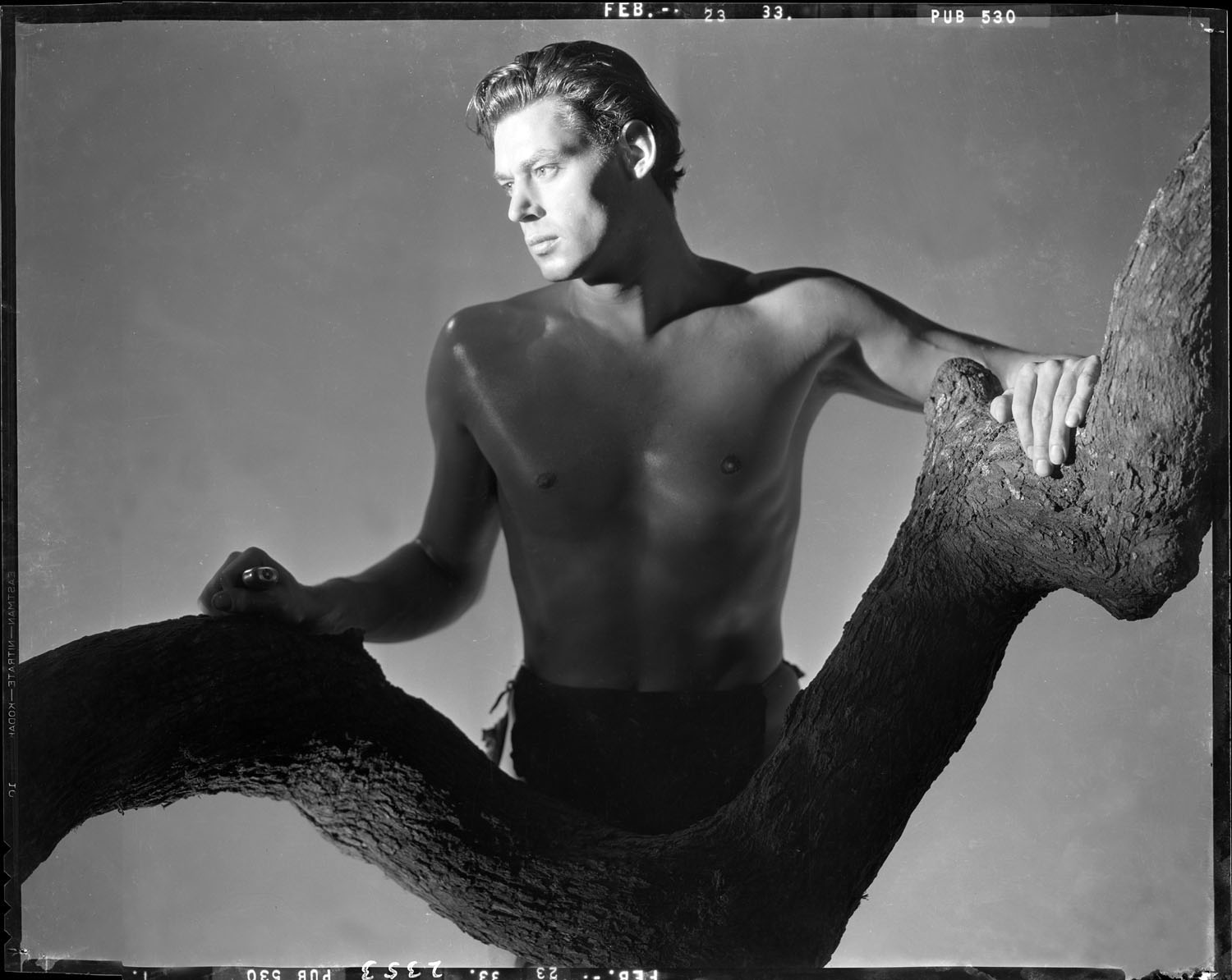 Johnny Weissmuller as Tarzan 1933 from original 8x10 negative