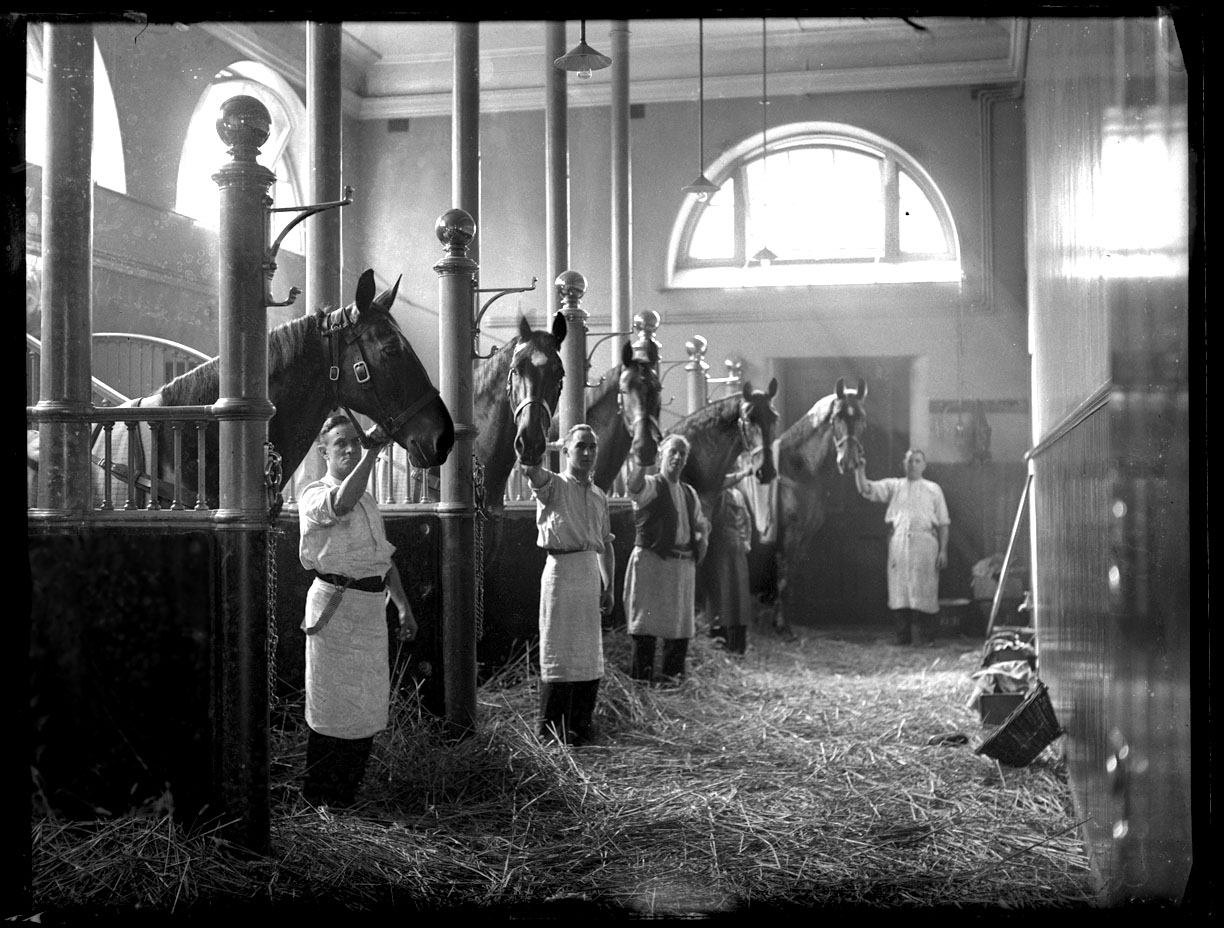 All the Kings Horses , The Kings Jubilee c.1910 from original 5x7 glass plate negative