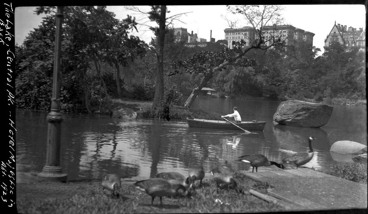 CentralParkRowBoat23Webcopy.jpg