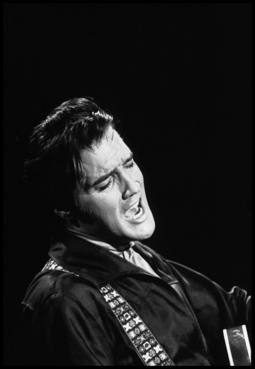 ElvisLiveWebcopy.jpg