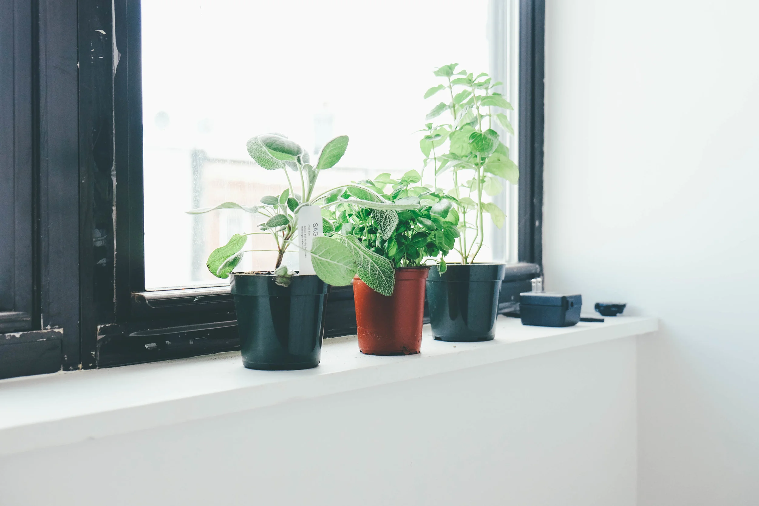 Death_to_stock_photography_weekend_work (3 of 10).jpg
