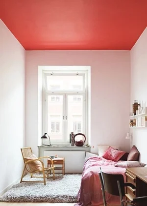 miluQiStudio_Orange6.jpg