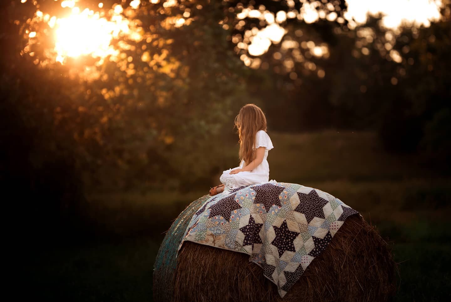 Just hanging out in the front yard on her favorite hay bale 🧡