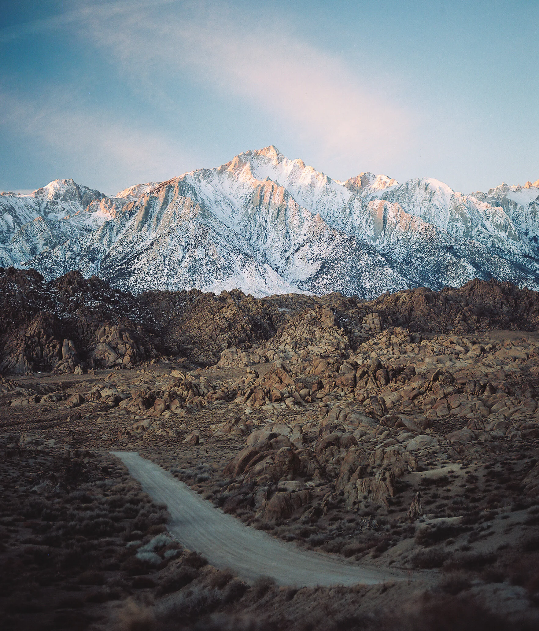 Whitney from Movie Road II.jpg