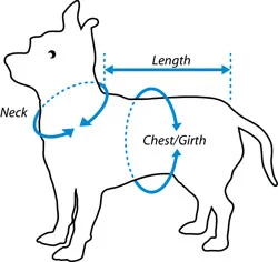 SizeChartIllustration2012-250.jpg