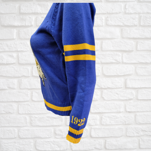 SGRHOChenilleSweaterSide2021Blue_95c20258-1e4d-4a80-b30b-8b2b3d70ad6c_495x.png