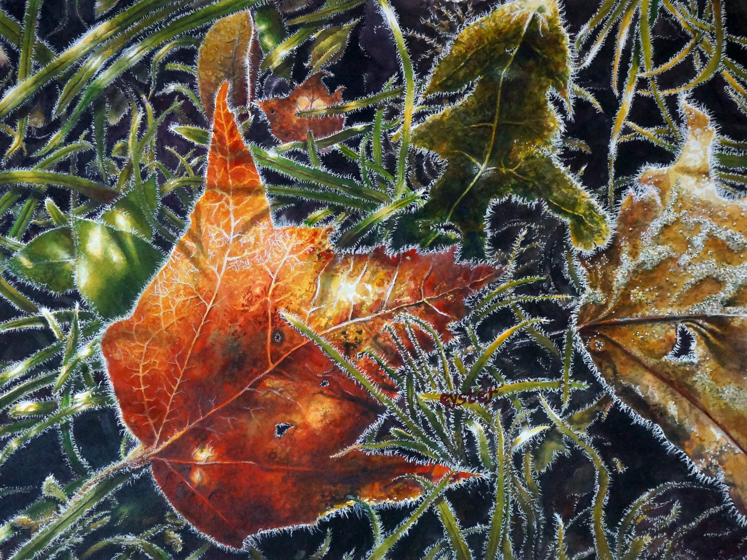 Dawn Frost ||| Drybrush: 22”H x 30”W