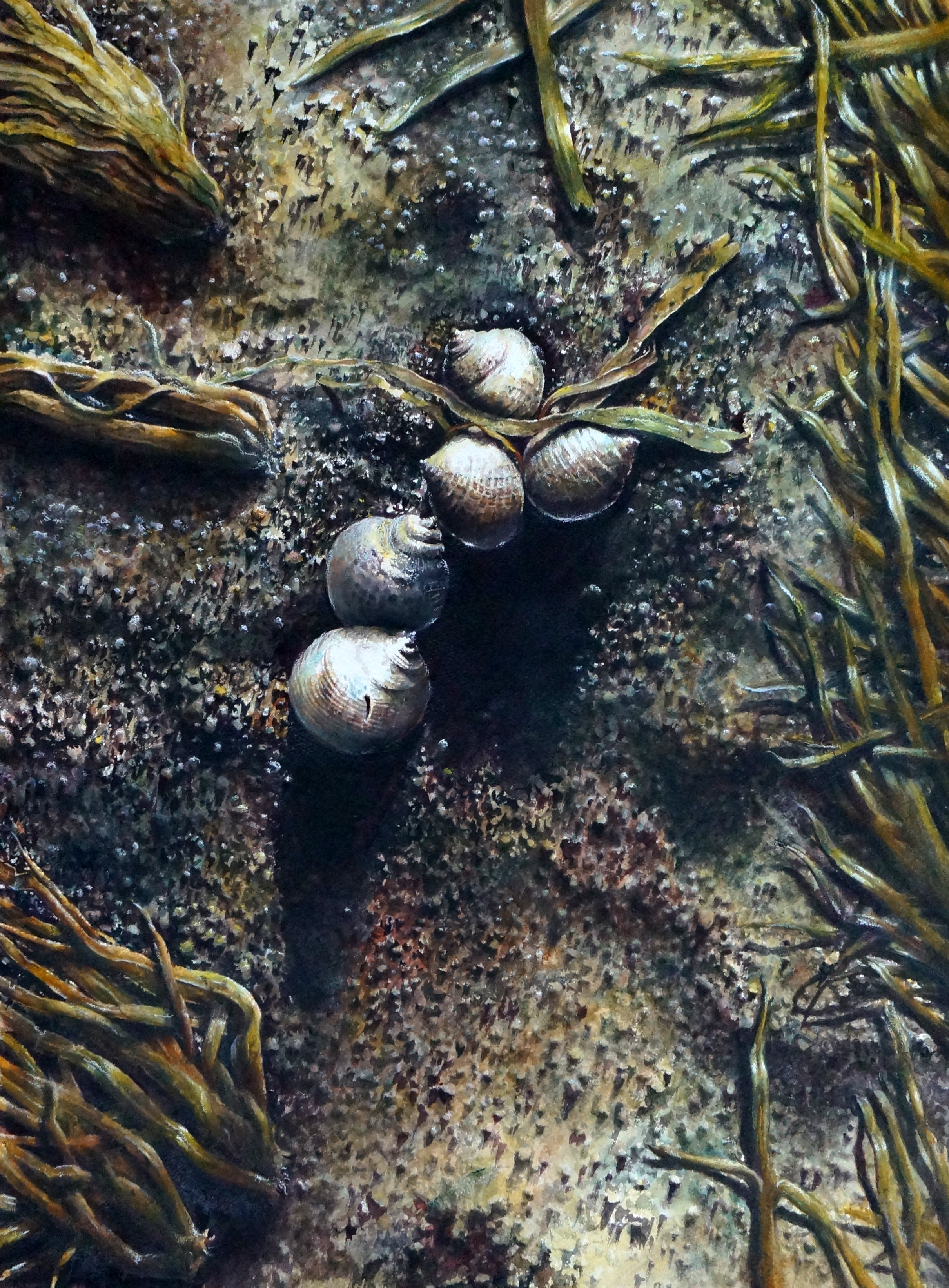 Quintet ||| Drybrush: 30"H x 22"W