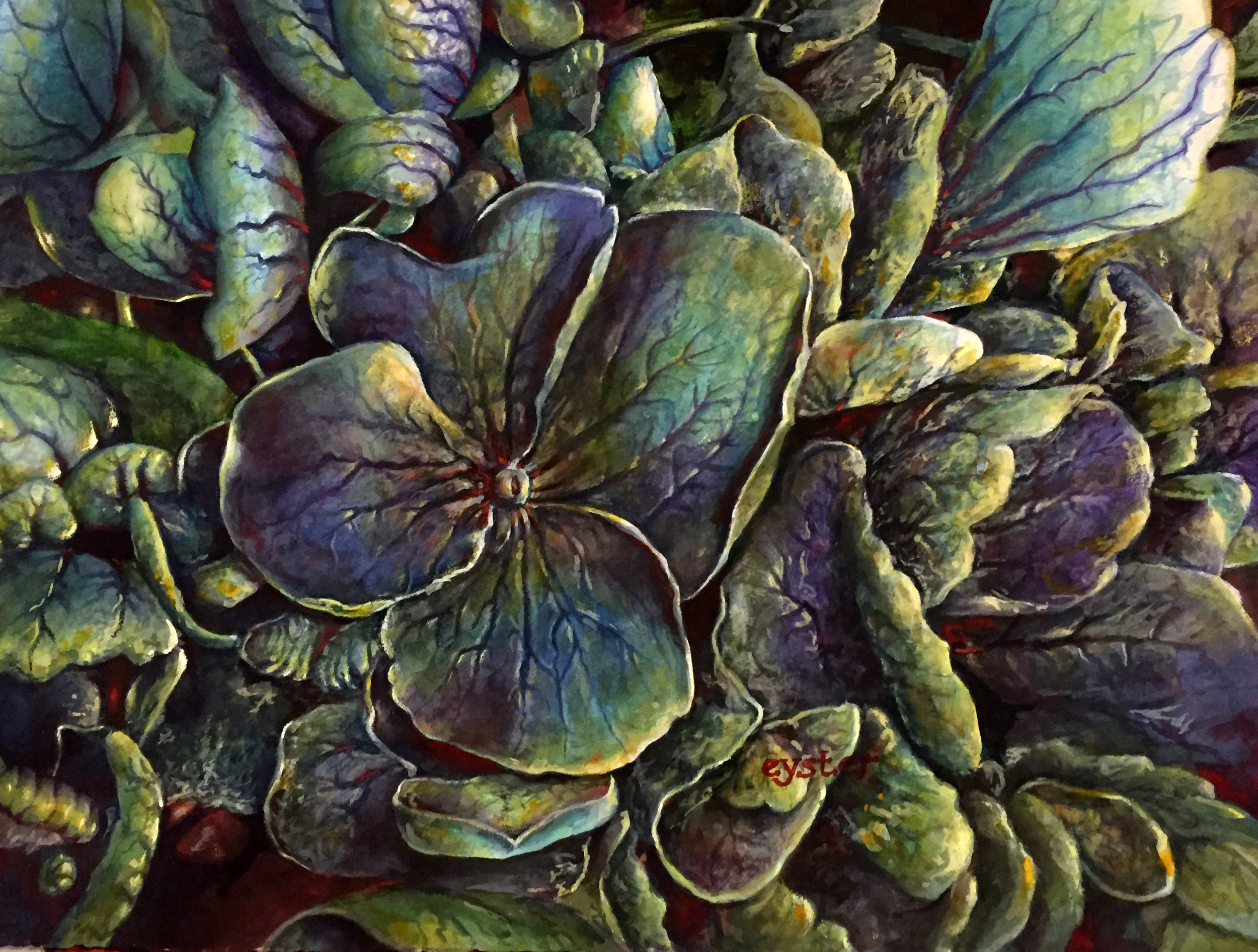 Hydrangea by Last Light ||| Drybrush: 22”H x 30”W