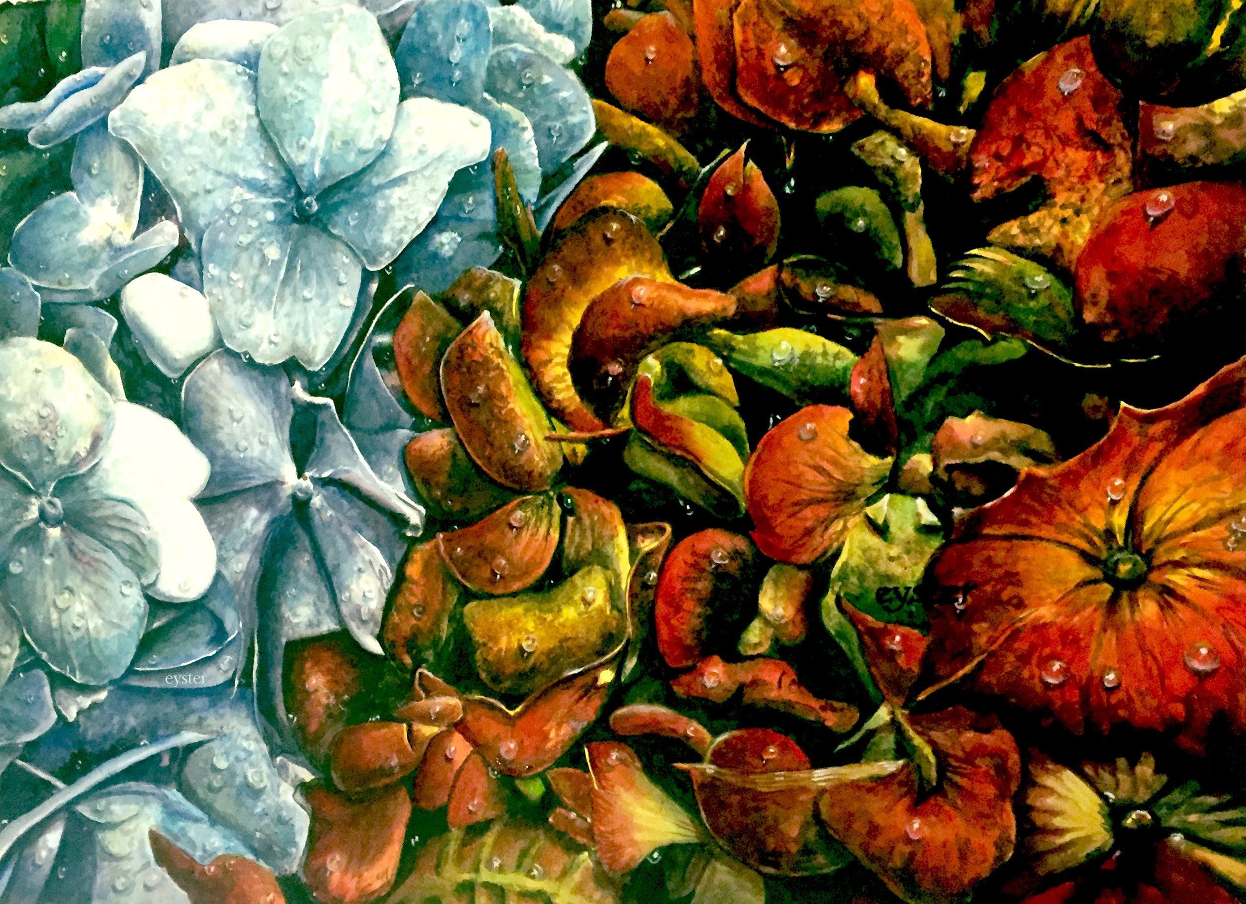 Hydrangea Generational Conflict ||| Drybrush: 22”H x 30”W
