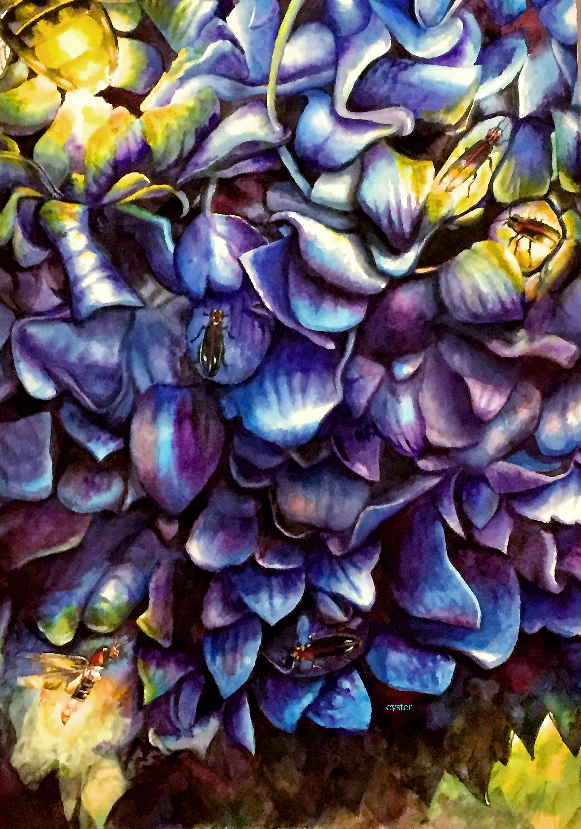 Hydrangea Fireflies ||| Drybrush: 30”H x 22”W