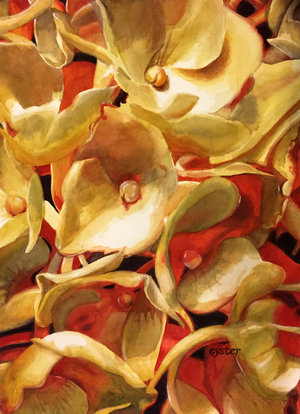 Drawn Butter Hydrangea ||| Drybrush: 30"H x 22”W