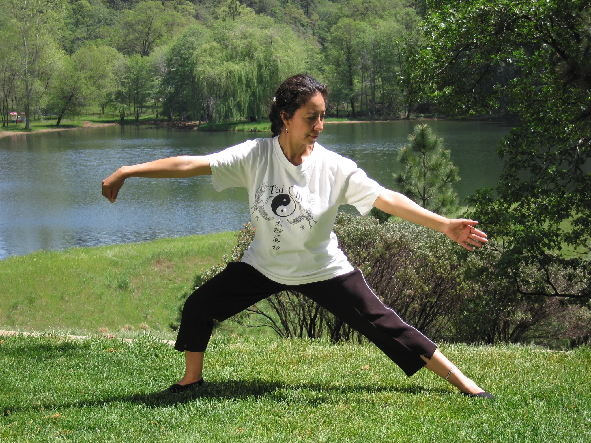 Tai Chi Text1.jpg