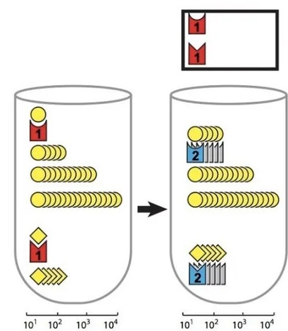 squich_bioRXiv.jpg