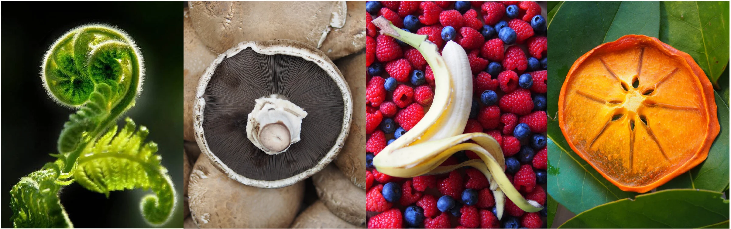 2020 new year image v2 singleton-crop.jpg