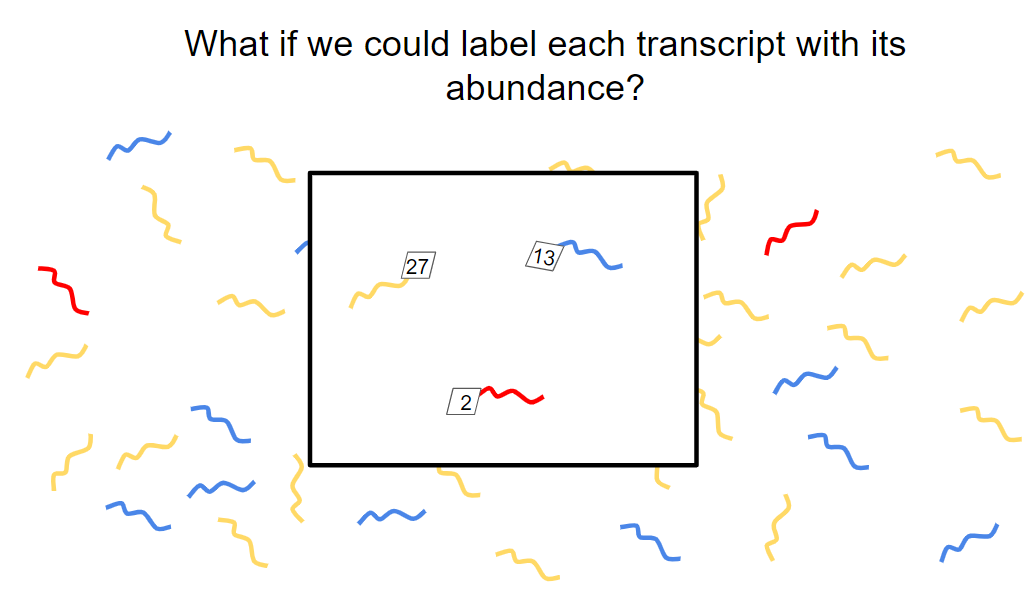 pasted image 0 (1).png