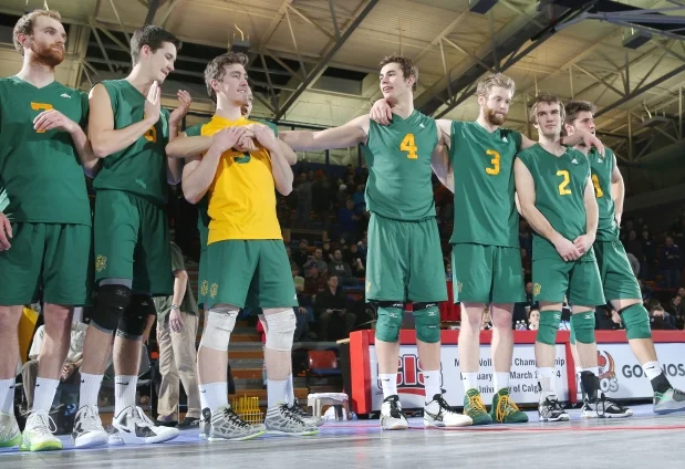 University of Alberta Golden Bears at the 2014 CIS Men's National Volleyball Championships