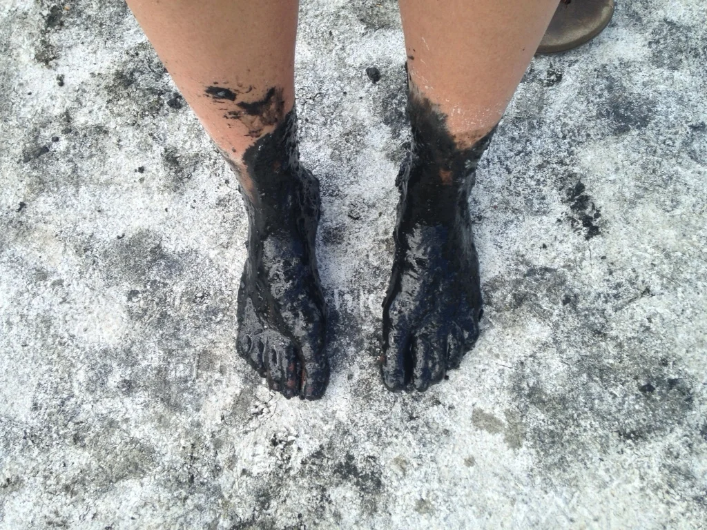 1IMG_2100.jpeg