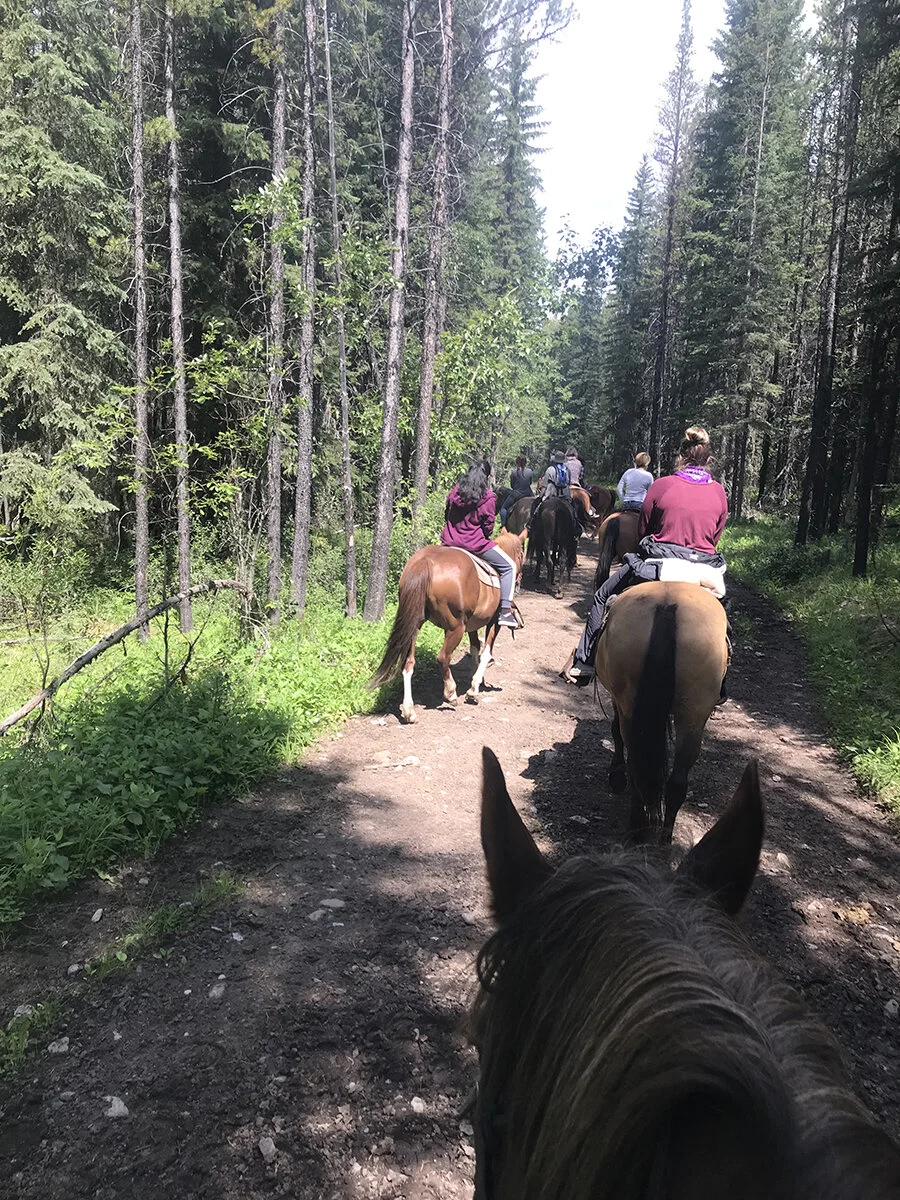 2019-07-27 13.00.58-1_sm.jpg