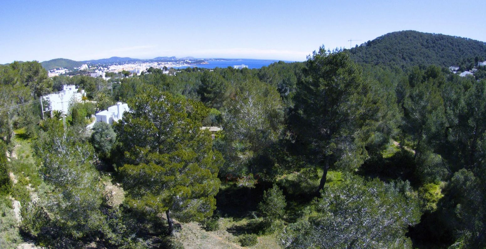 Santa eulalia luxury house investment