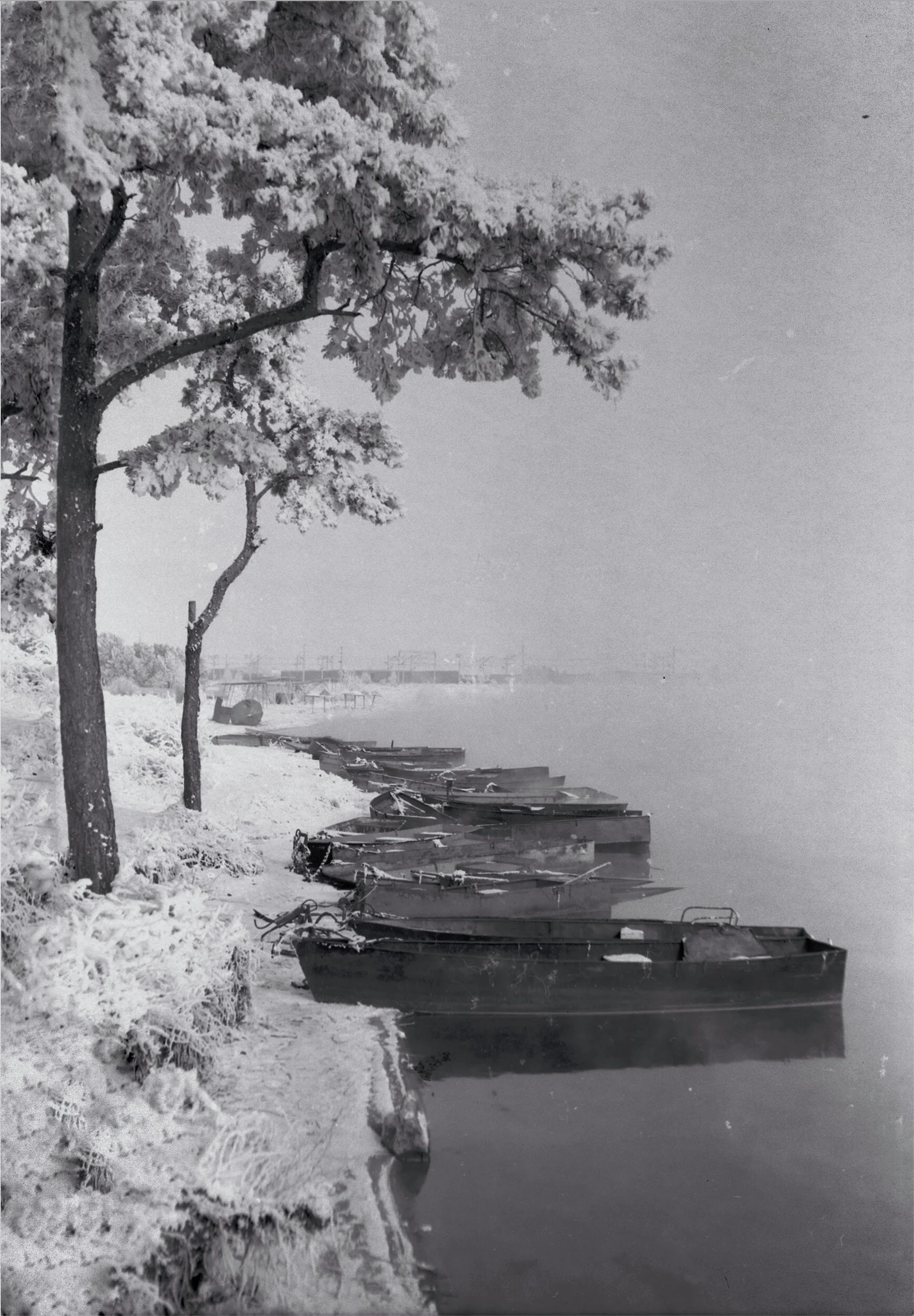 Screen Shot 2019-11-01 at 8.10.05 AM.jpg