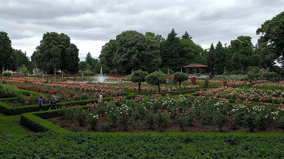 What I've learned from y'all (an open letter to everyone who’s come to me wanting to “Get Into UX”)