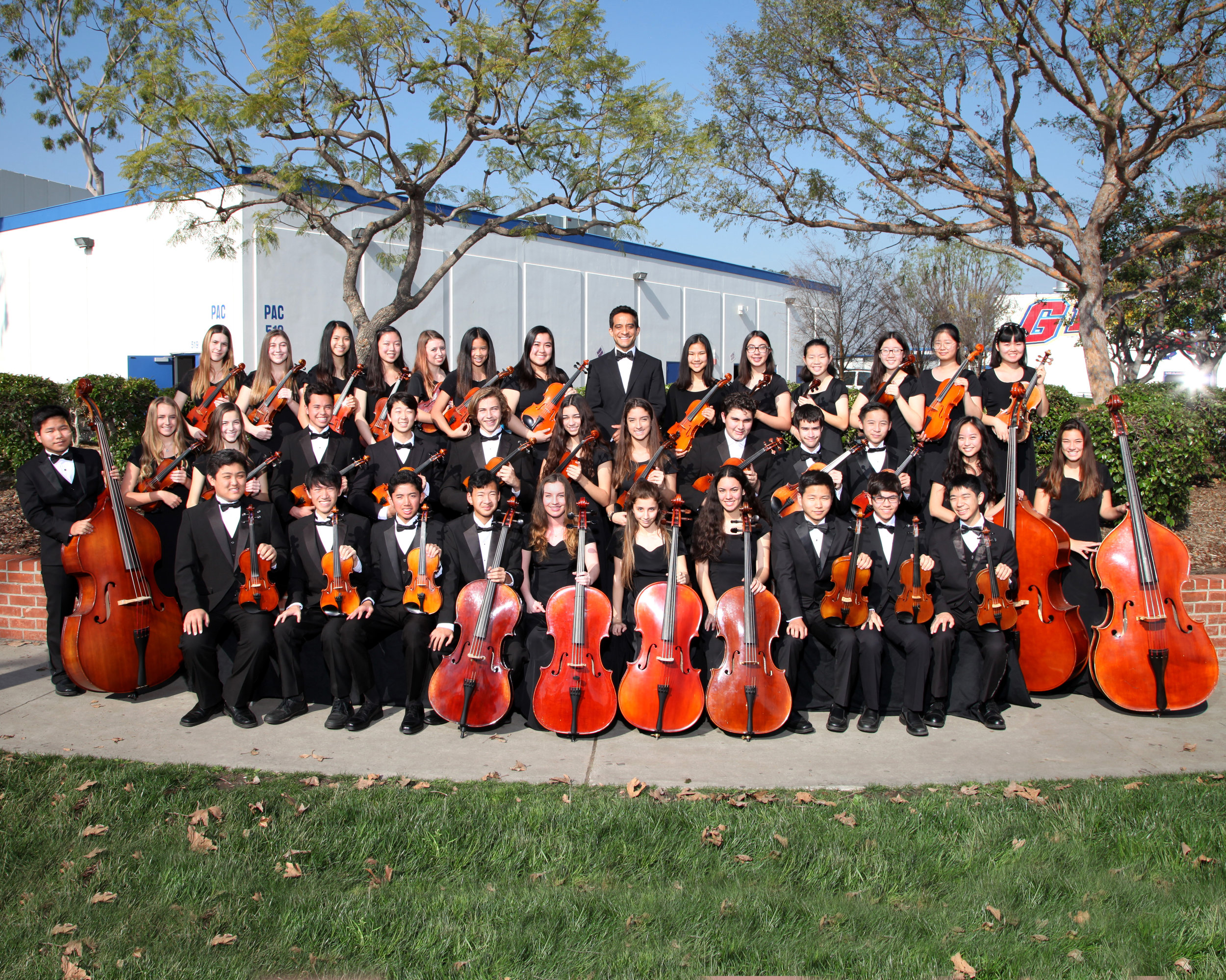 String Orchestra .jpg