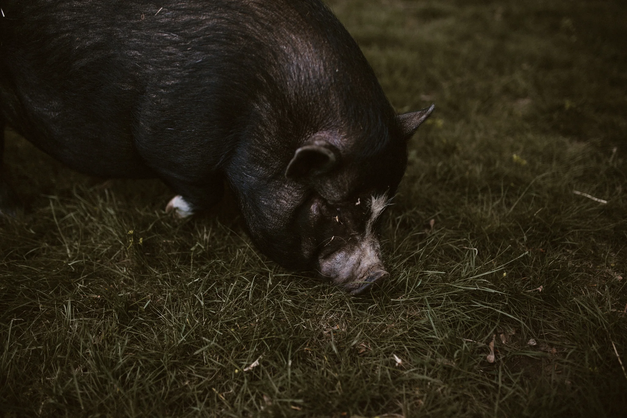 Burton Wedding - BLOG (287).jpg
