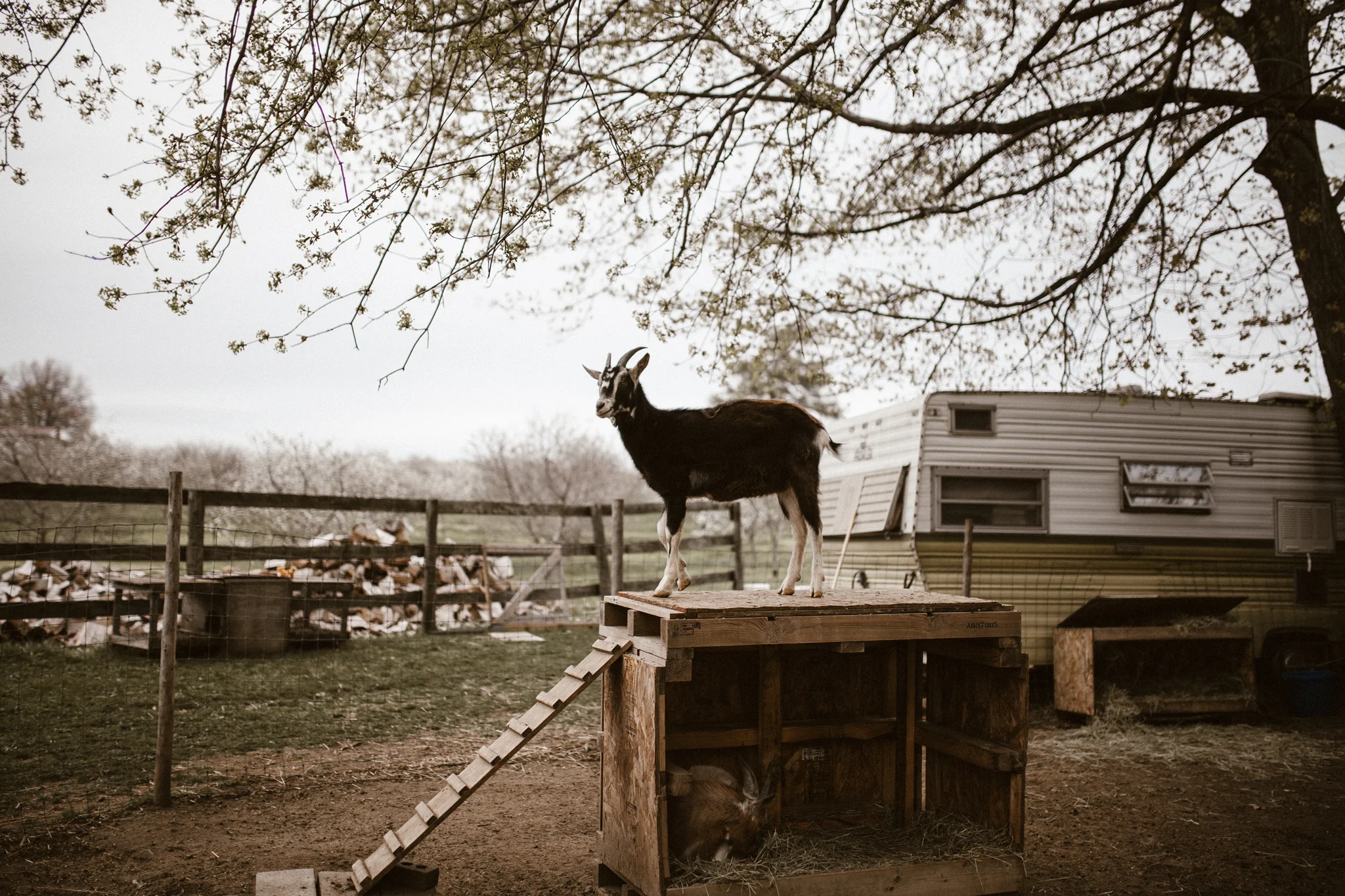 Burton Wedding - BLOG (407).jpg