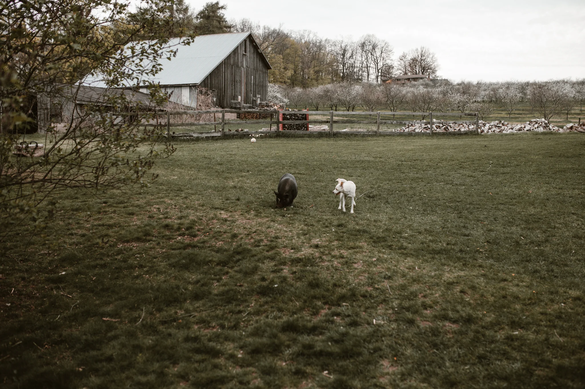 Burton Wedding - BLOG (444).jpg