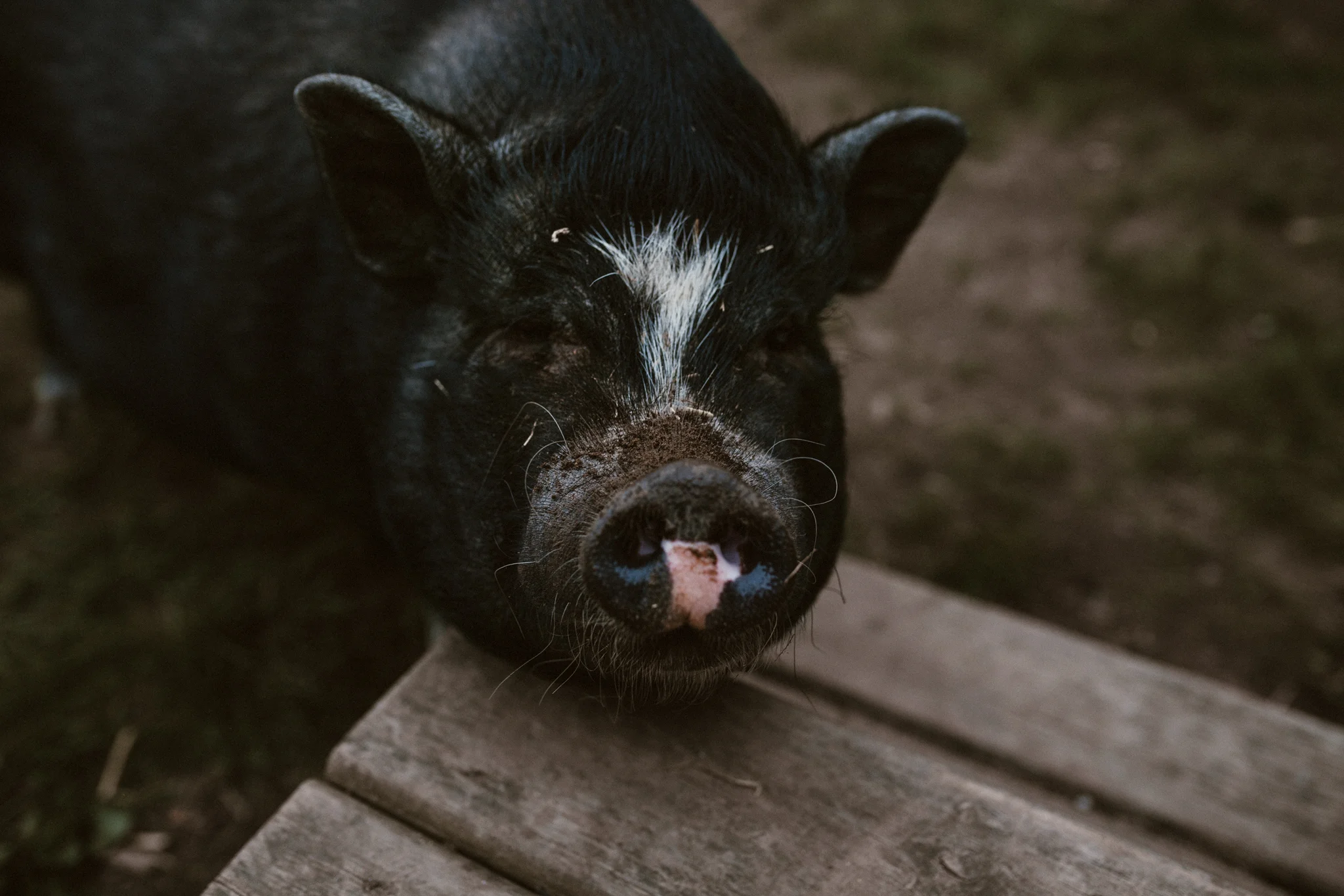 Burton Wedding - BLOG (447).jpg